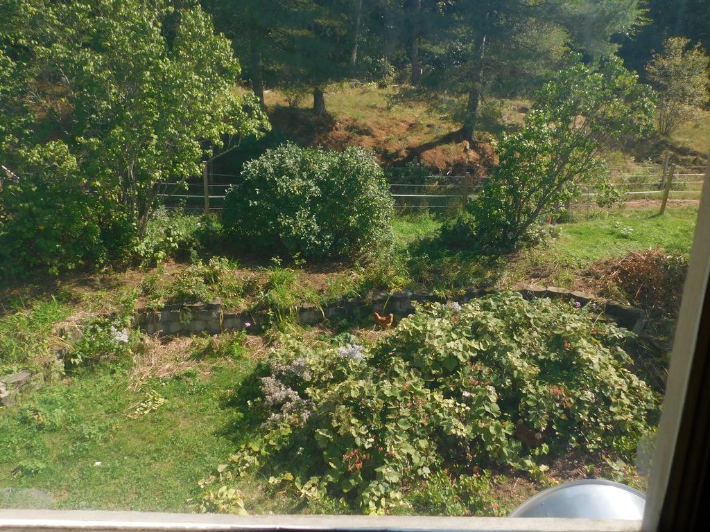 ランフォード  No View Farm Bed & Breakfast エクステリア 写真